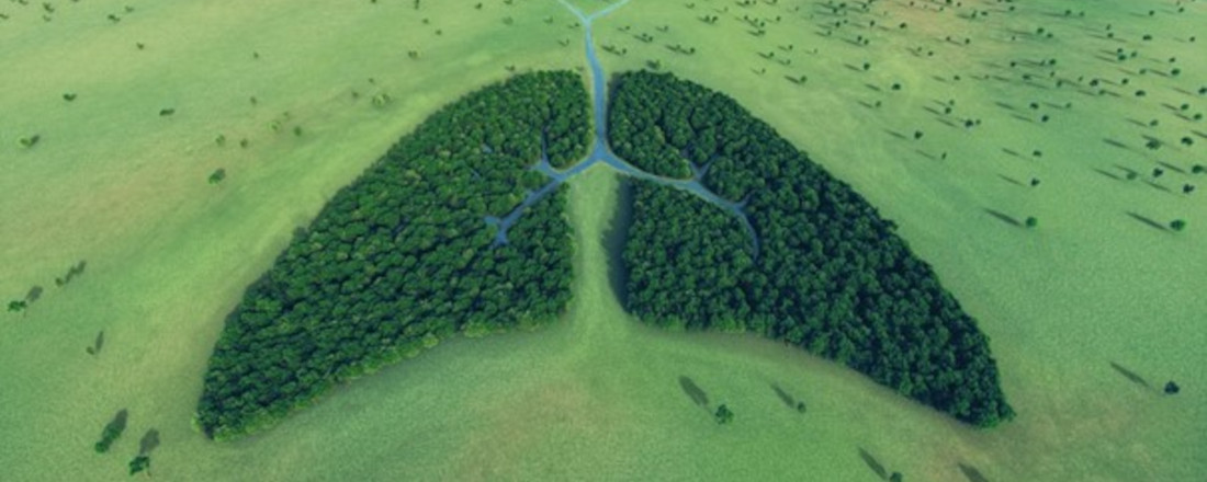 Bild einer Landschaft mit einem Wald in Form einer Lunge