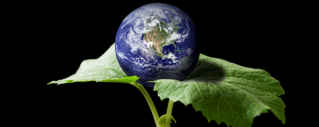 bannerbild-planetary-health